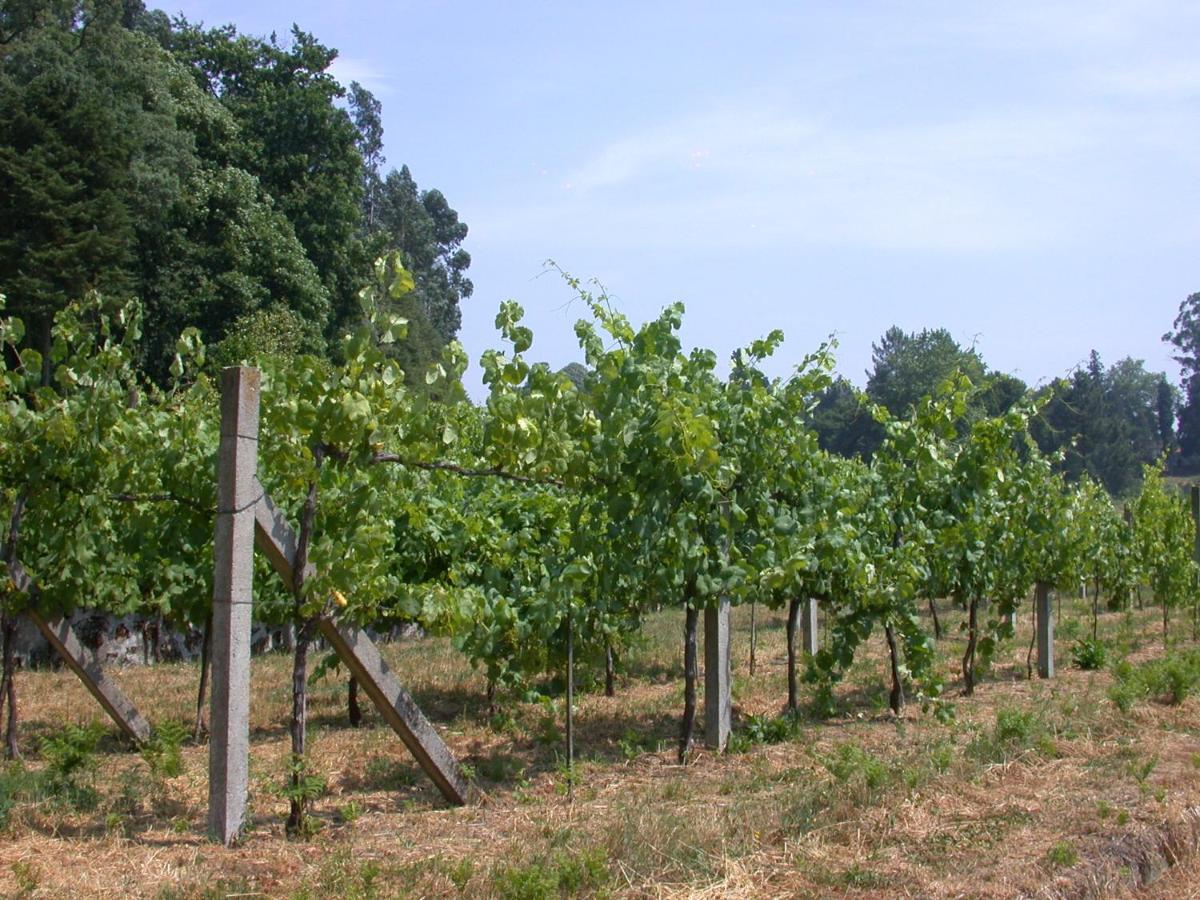 Quinta da Tapada Lousada Exterior foto